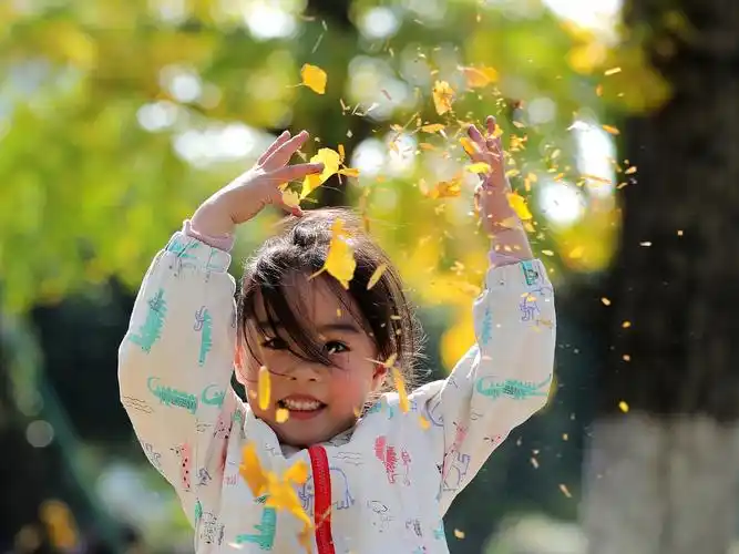 深秋阳光格外迷人一女孩在开心的玩银杏树叶子