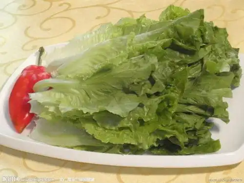 这是油麦菜还是生菜啊?