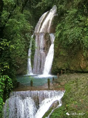 旅游攻略之青城山详细介绍,五一小长假一起来玩吧!