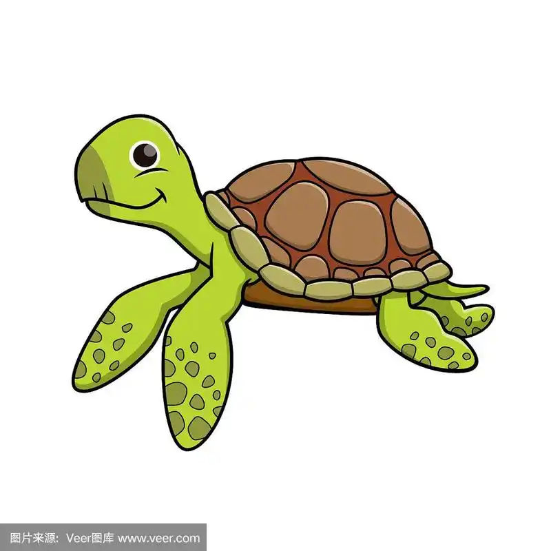 海龟孤立在白色背景上的矢量插图.