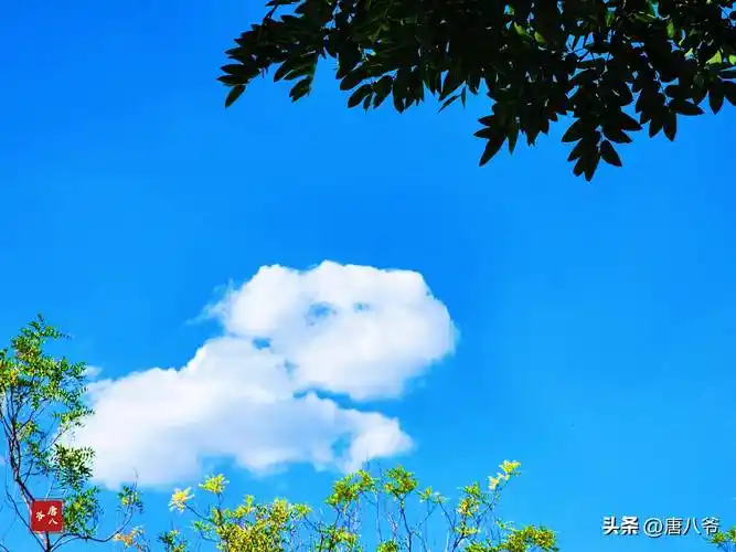 蓝天白云,清新自然,置身于蓝天白云之间的广袤大自然