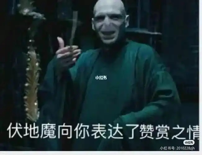哈利波特表情包