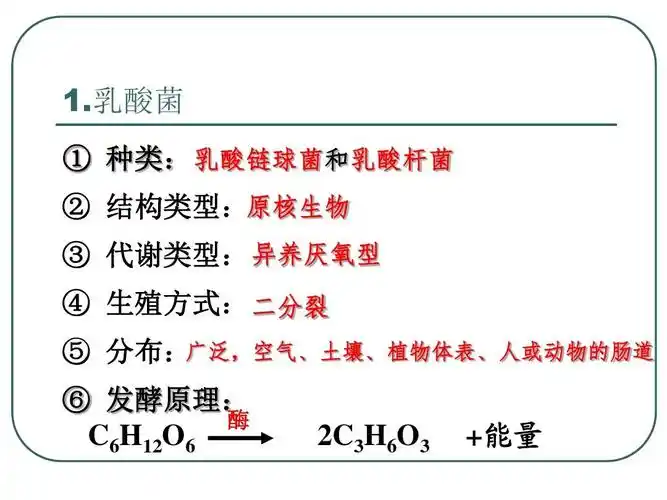 乳酸菌 ① 种类: 乳酸链球菌和乳酸杆菌 ② 结构类型:原核生物 ③