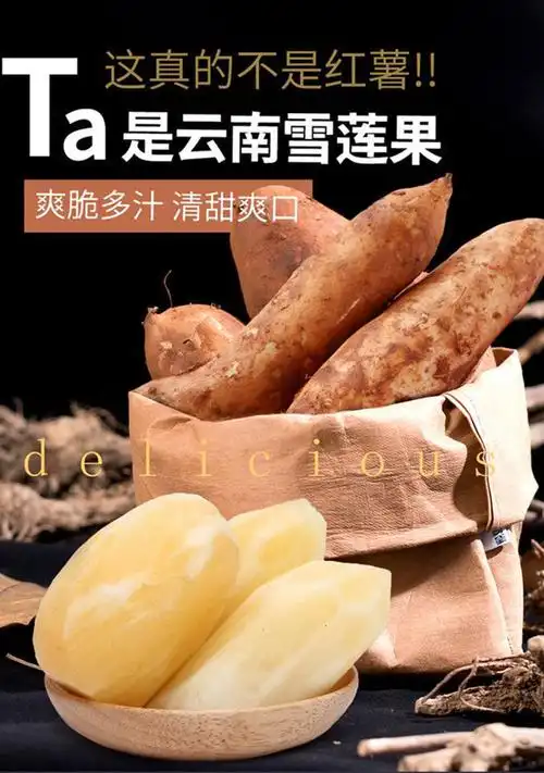 雪域恩泽云南特产天山雪莲果应季水果清甜5斤10斤现挖红心新鲜5斤大果