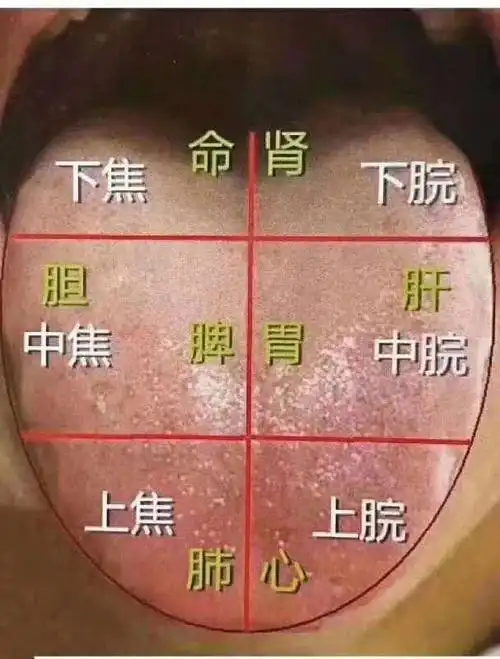 教你一最个简单的舌相辨别的方法