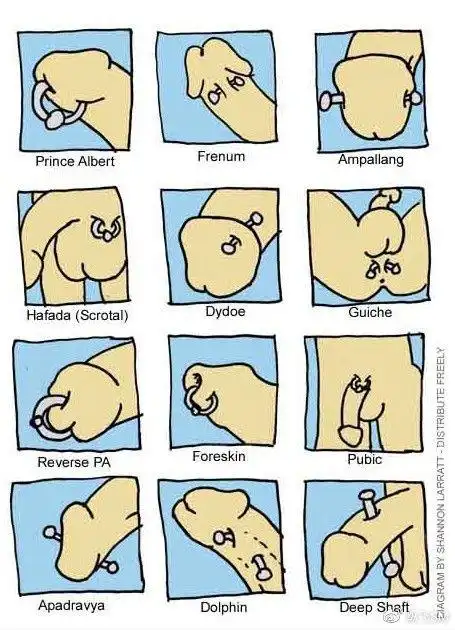 字母圈阴茎打孔穿环的12种方法