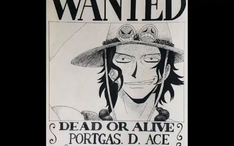 画一张通缉令海贼王艾斯