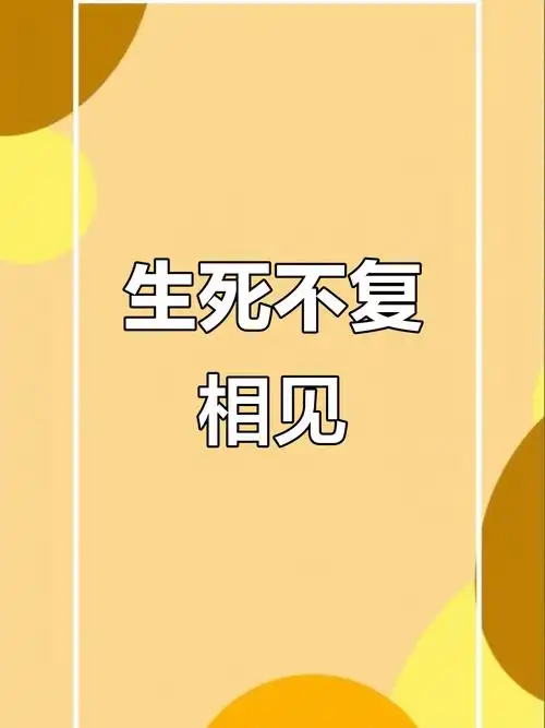 谢景衍,我们此生永不相见