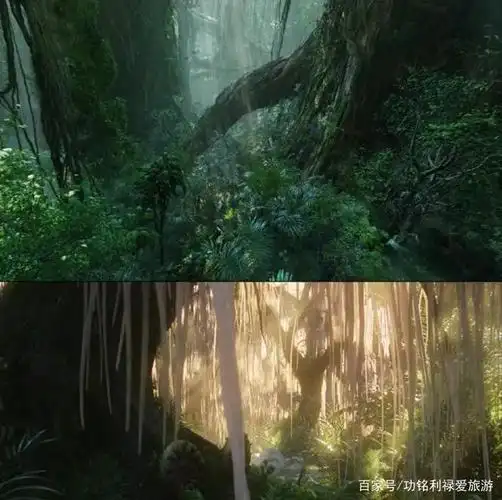 《阿凡达》中的"生命之树",我在海南热带雨林见到"实物"了!