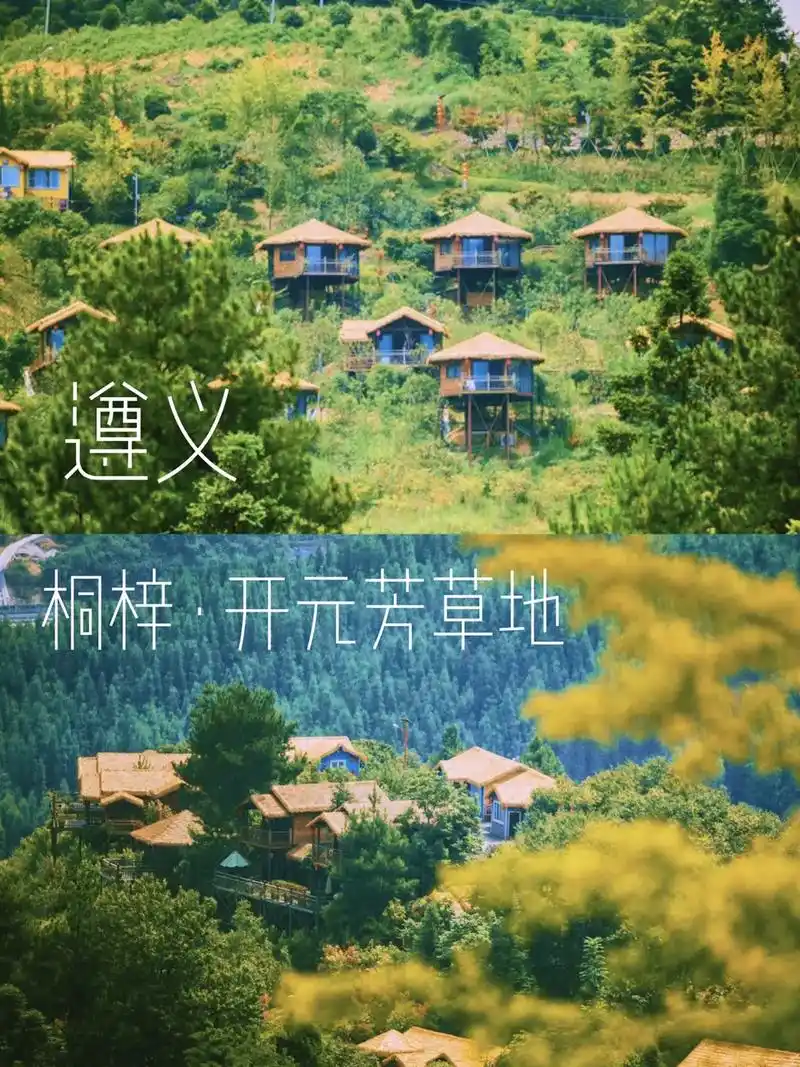 遵义桐梓开元芳草地乡村酒店,位于 - 抖音