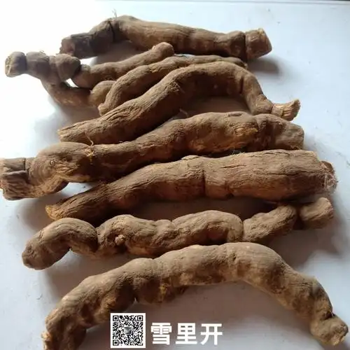 中药材雪里开雪里开多少钱一公斤
