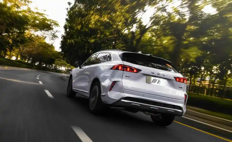 1758万元起wey摩卡上市特斯拉在它面前也黯然失色