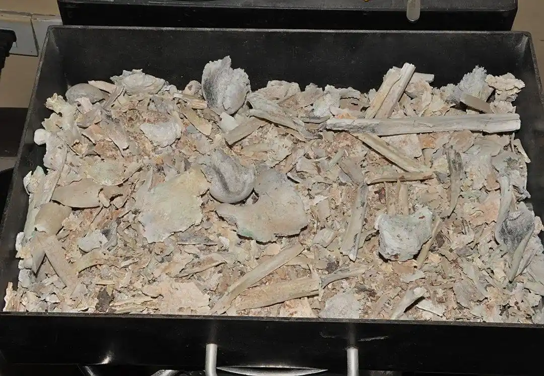 从科学上讲,骨灰究竟是什么?骨灰多年后又会变成什么?