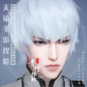 天谕手游捏脸数据成男 玉虚圣堂光刃流光脸型数据 鱼丸银灰