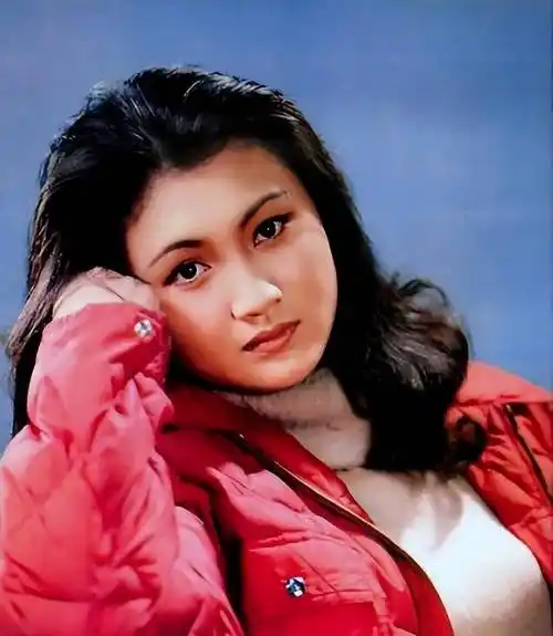 的美人,却在巅峰时期隐退这是观众对80年代当红演员林芳兵最高的评价