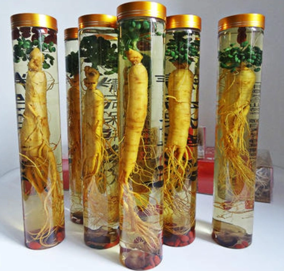 日常生活中人参泡酒图鉴