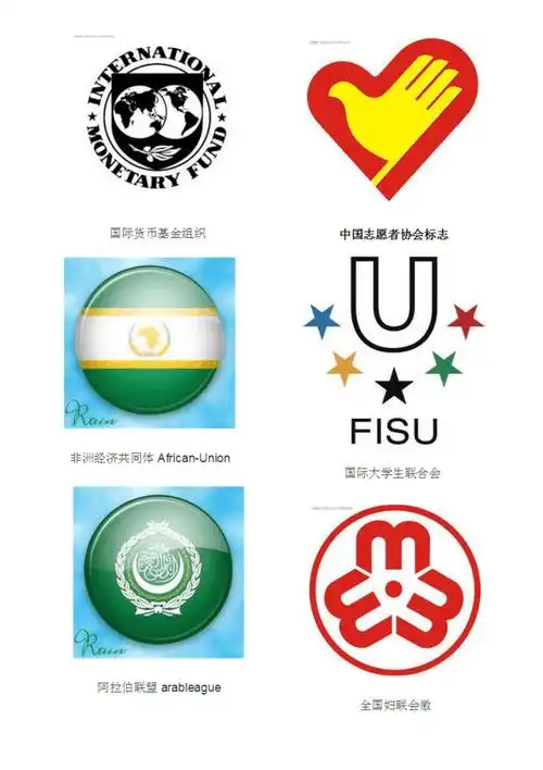 国际组织图标_第5页