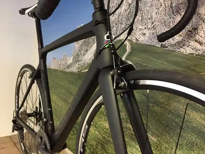 意大利colnago梅花公路车crs入门级碳纤维公路车crrw红色ut6800套