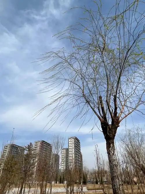 8级大风!最新预警!