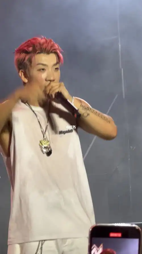 杨和苏帅爆了救命98#杨和苏  #音乐节  #王位