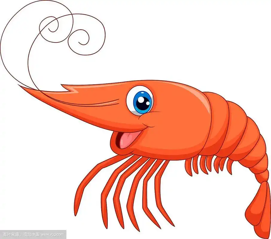 可爱的卡通虾