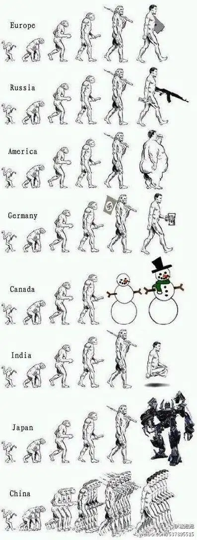 人类进化的六个阶段图简笔画