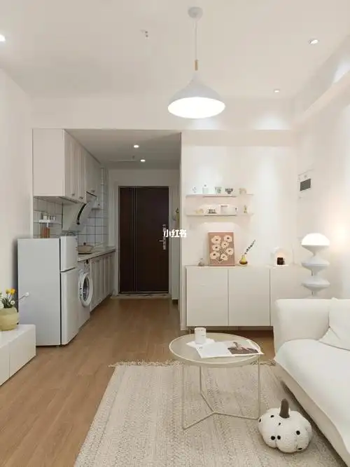 房屋虽小30平小公寓每天一下班就想跑回家