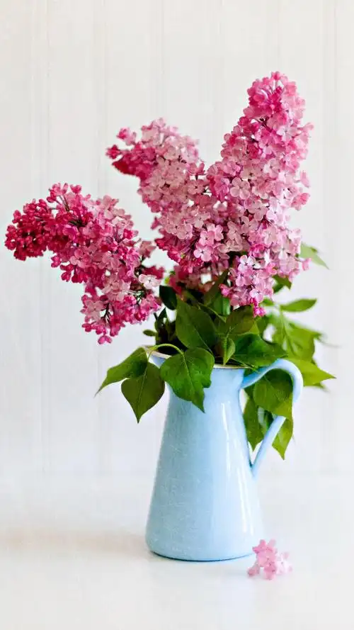 美丽的丁香花花束,高清图片,手机壁纸