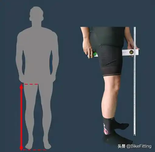 bikesizing,静态bikefitting肢体测量图解