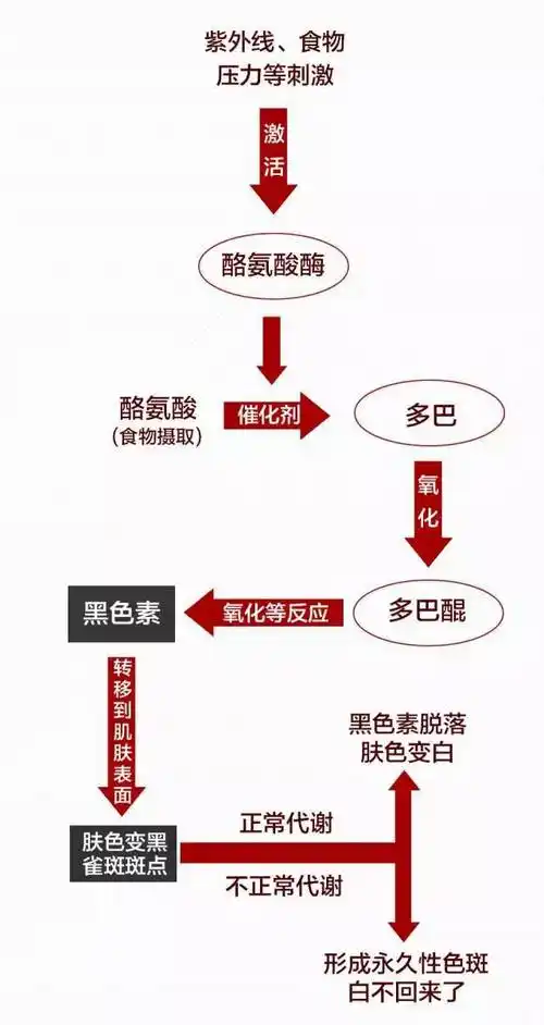 但是大多数都是通过以下4种方法在和黑色素战斗的!