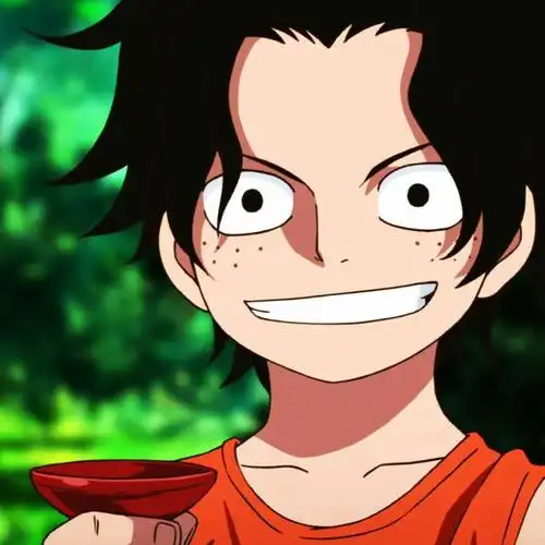 海贼王头像 |小时候的艾斯