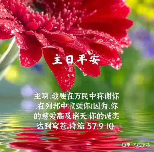 第一次新的事等坐公交车不用戴口罩的时候我要