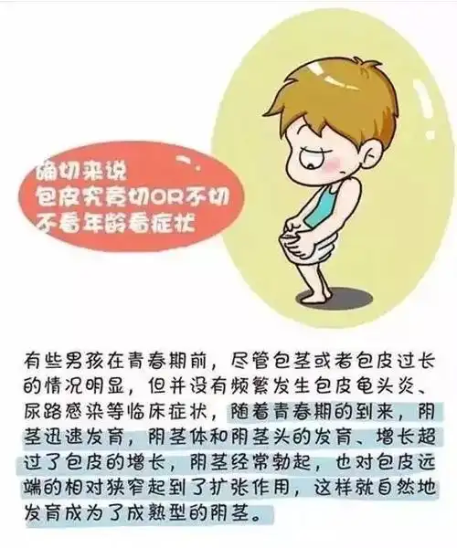 小儿包皮过长包茎怎么办 - 好大夫在线