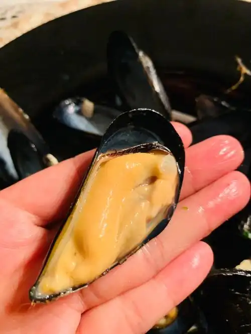 🇮🇹撒丁岛的青口贝|肥硕饱满浓郁鼓舌