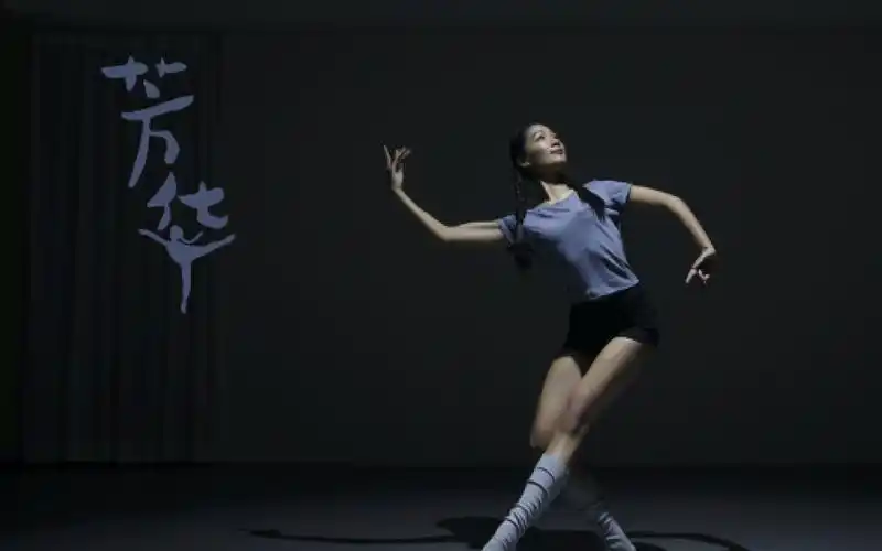 金刚舞蹈诗意原创舞蹈芳华