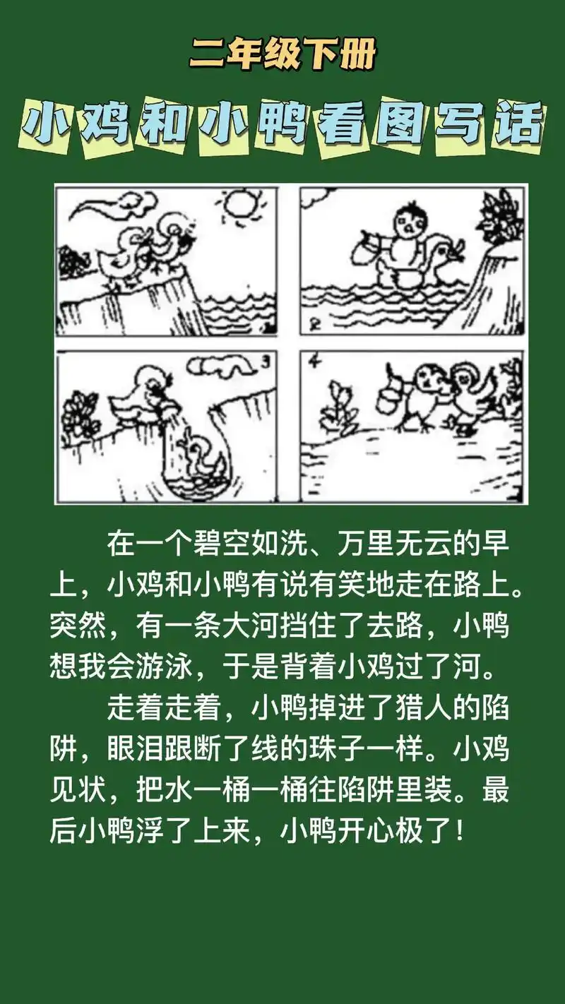 小鸡和小鸭看图写话100字到200字二年级下册,小鸡和小鸭互 - 抖音