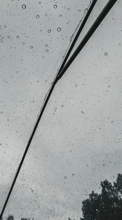 每把雨伞上的雨滴都是独一无二的