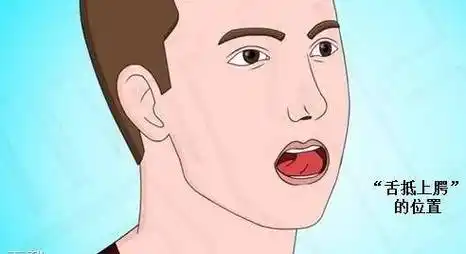 八段锦,五禽戏,易筋经等内家拳以及静气功等时,舌尖须轻轻抵住上颚