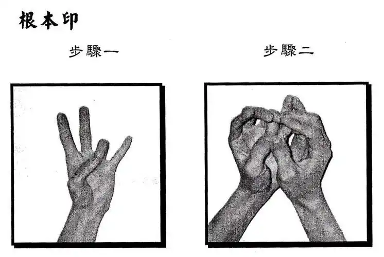 楞严咒六种手印:根本印,金刚拳印,金刚拳内缚印,金刚拳外缚印,大白伞