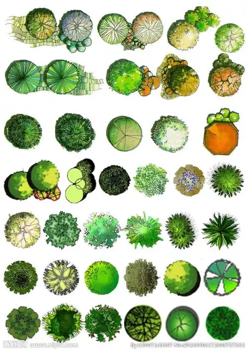 植物树平面贴图图片