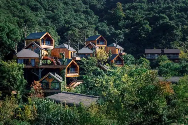 一站式亲自然度假乐园开元森泊又上新轻奢度假区域隐竹里暑期将迎