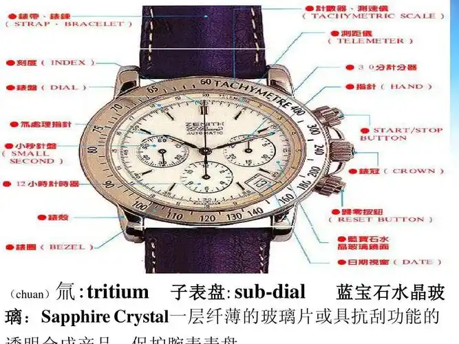 手表部位名称中英文对照ppt