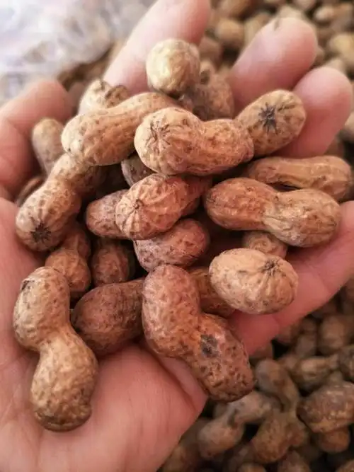 新货水煮山核桃味小花生500g散装焦糖花生250g休闲零食坚果炒货2斤