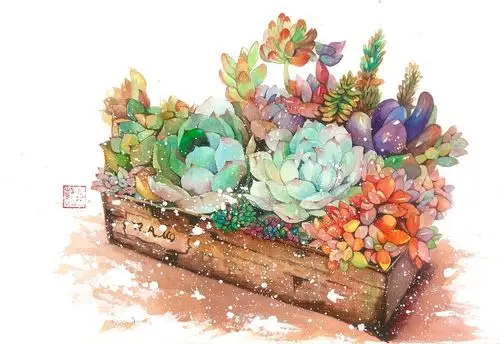 水彩多肉|插画|其他插画|非离喵 - 原创作品 - 站酷 (zcool)