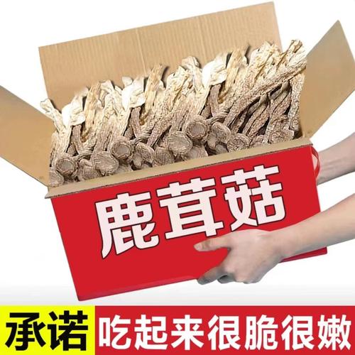 鹿茸菇,浓浓的菌香味, 口感嫩爽脆, 爆炒肉片,煲汤