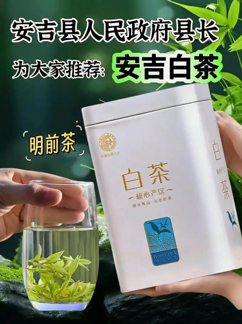 品上一杯安吉白茶,仿佛置身于安吉如诗如画的茶园之中,春暖风轻一