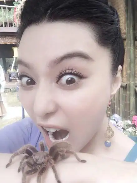 范冰冰抱蜘蛛表情狰狞 网友:女神在哪