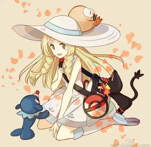 会员精灵宝可梦莉莉艾高清图片cg包2365p