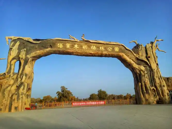 轮台县的胡杨林景区.