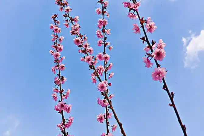 韵律图片_全景网